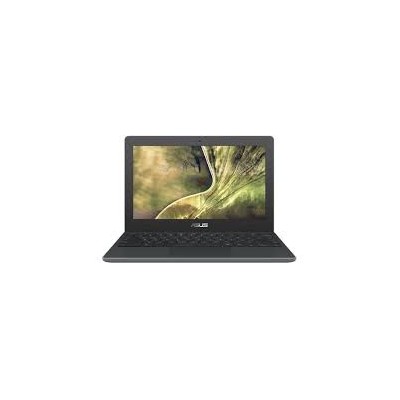 Portátil ASUS Chromebook C204MA-GJ0012