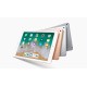 Aplle iPad 2018 9,7" Wi-Fi 32 GB Oro 2 GB Wi-Fi 5 (802.11ac) iOS 11 Oro