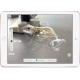 Aplle iPad 2018 9,7" Wi-Fi 32 GB Oro 2 GB Wi-Fi 5 (802.11ac) iOS 11 Oro