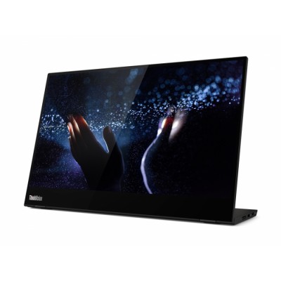 Monitor Lenovo ThinkVision M14t 35,6 cm (14")