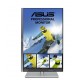 Monitor ASUS ProArt PA24AC 61,2 cm (24.1")