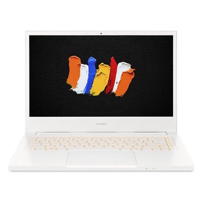 Portátil Acer ConceptD 3 Pro CN314-72P - i5-10300H - 8GB RAM