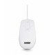 Urban Factory SANEE ratón USB tipo A Óptico 800 DPI