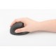Digitus DA-20155 ratón mano derecha RF inalámbrico Óptico 1600 DPI