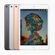 Apple iPad mini (5ª Gen.) Wi-Fi + Celular 256GB Plata