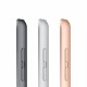 Apple iPad 4G LTE 128 GB 25,9 cm (10.2") 3 GB Wi-Fi 5 (802.11ac) iPadOS Plata