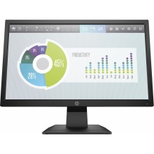 HP P204v 49,5 cm (19.5") 1600 x 900 Pixeles HD+ LED Negro