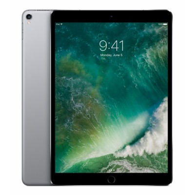 Apple iPad Pro 256GB Gris tablet