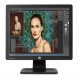 Monitor HP ProDisplay P17A