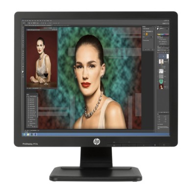 Monitor HP ProDisplay P17A