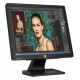 Monitor HP ProDisplay P17A