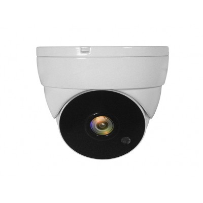 LevelOne ACS-5302 cámara de vigilancia Almohadilla Cámara de seguridad CCTV Interior y exterior Techo