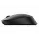 Philips SPK7407B/00 ratón Oficina Ambidextro RF Wireless + Bluetooth Óptico 1600 DPI
