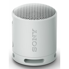 Sony SRS-XB100 Altavoz monofónico portátil Gris
