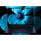 Portátil HP EliteBook Ultra G1i AI | Intel Ultra5 228V | 32GB RAM | Táctil