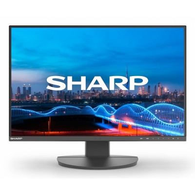 Monitor Sharp MultiSync EA241W, 24", Full HD, DVI, VGA