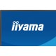 Monitor Iiyama ProLite XB2797QSNP-B1, 27", 2560x1440, HDMI, USB-C, DVI, VGA