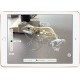 Apple iPad tablet A10 32 GB Oro