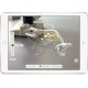 Apple iPad tablet A10 32 GB Oro