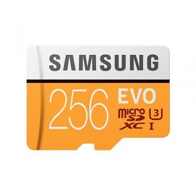 MicroSDXC 256 GB Clase 10 UHS-I