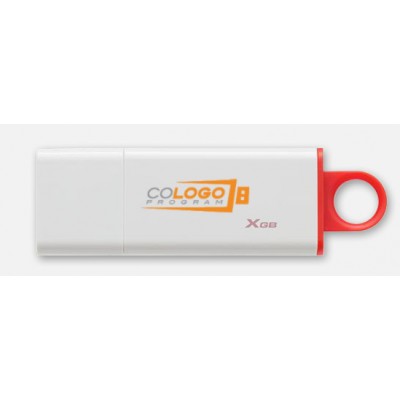 Pen Drive Kingston Technology G4 32GB