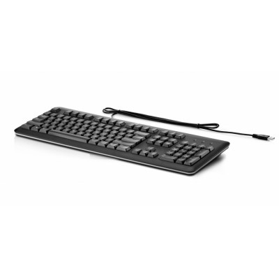 Teclado USB HP para PC (QY776AA)