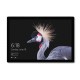 Surface Pro tablet 7ª generación de procesadores Intel® Core™ i5 i5-7300U 256 GB 4G Negro, Plata