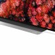 TV OLED 65" LG 65C9PLA