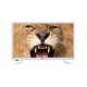 Televisor Nevir NVR-7412-20HD-B TV 50,8 cm (20") WXGA Blanco