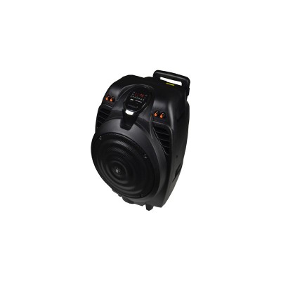MASSIVE-S10 altavoz 50 W Negro