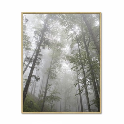 447534 altavoz 50 W Multi Inalámbrico y alámbrico USB/Bluetooth