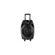 MASSIVE-S10 altavoz 50 W Negro