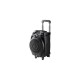 MASSIVE-S10 altavoz 50 W Negro