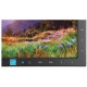 NEC MultiSync EA234WMI 58,4 cm (23") 1920 x 1080 Pixeles Full HD LED Plana Negro