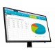Monitor HP N246v