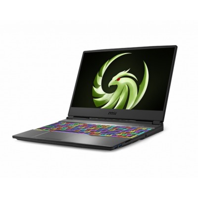 MSI Alpha 15 A3DDK-070XES Negro Portátil 39,6 cm (15.6") 1920 x 1080 Pixeles AMD Ryzen 5 16 GB DDR4-SDRAM 512 GB SSD AMD Rad