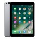 iPad 2017 Wi-Fi + Cellular 32 GB Gris Espacial