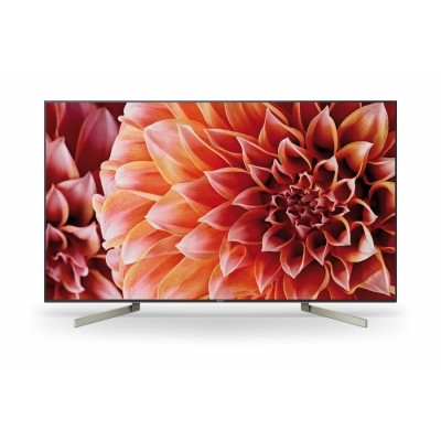 Televisor Sony KD-65XF9005 1