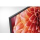 Televisor Sony KD-65XF9005 1