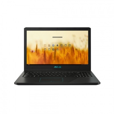 Portátil ASUS X570ZD-DM266T