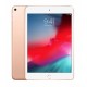 iPad mini A12 256 GB Oro