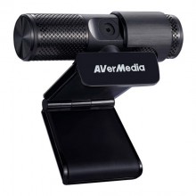 WebCam WebCam AVerMedia PW313